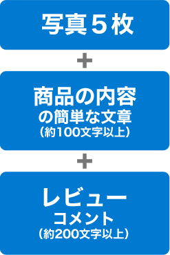写真5枚+商品の内容の簡単な文章(約100文字以上)+レビューコメント(約200文字以上)